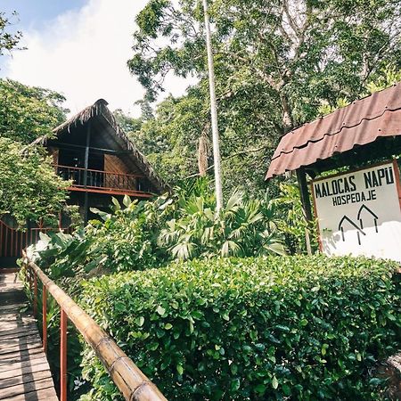 Maloka Napue - Ecodestinos Puerto Nariño Exterior foto