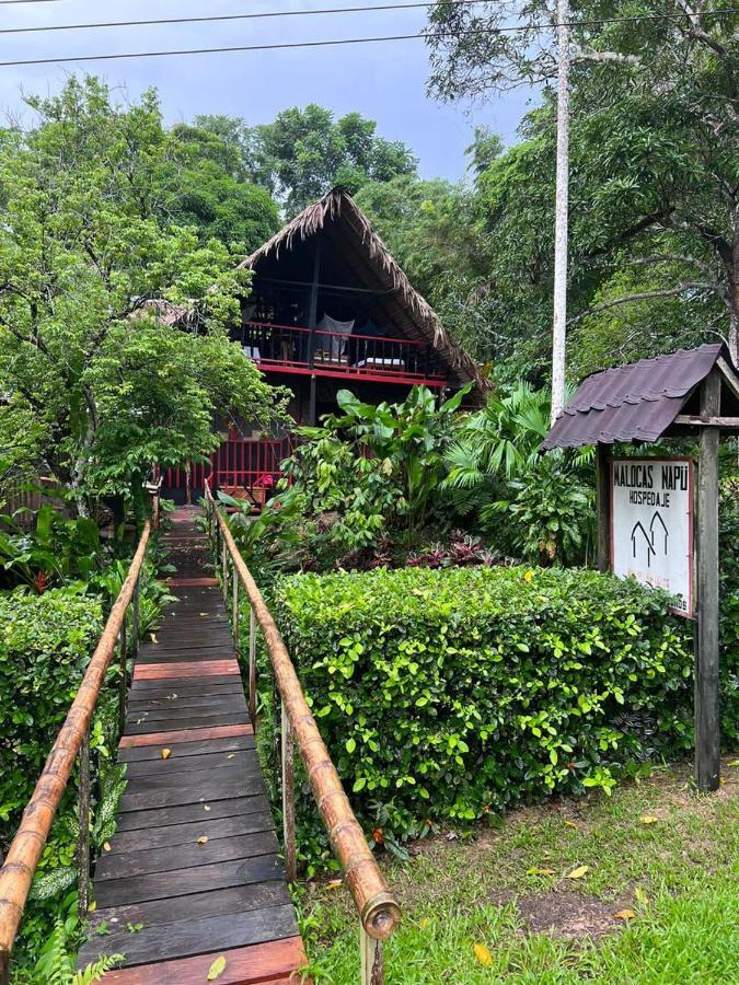 Maloka Napue - Ecodestinos Puerto Nariño Exterior foto